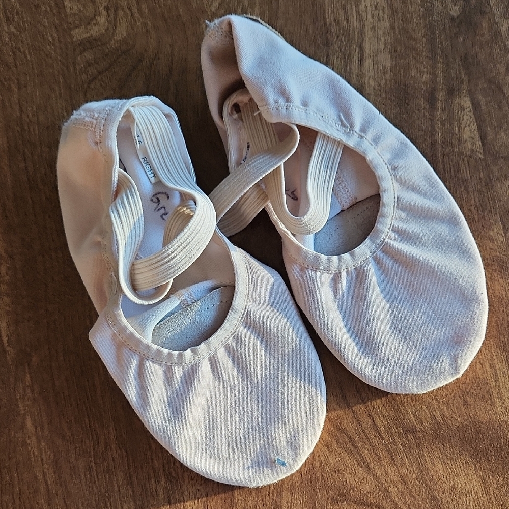 Light Pink Ballet Shoes